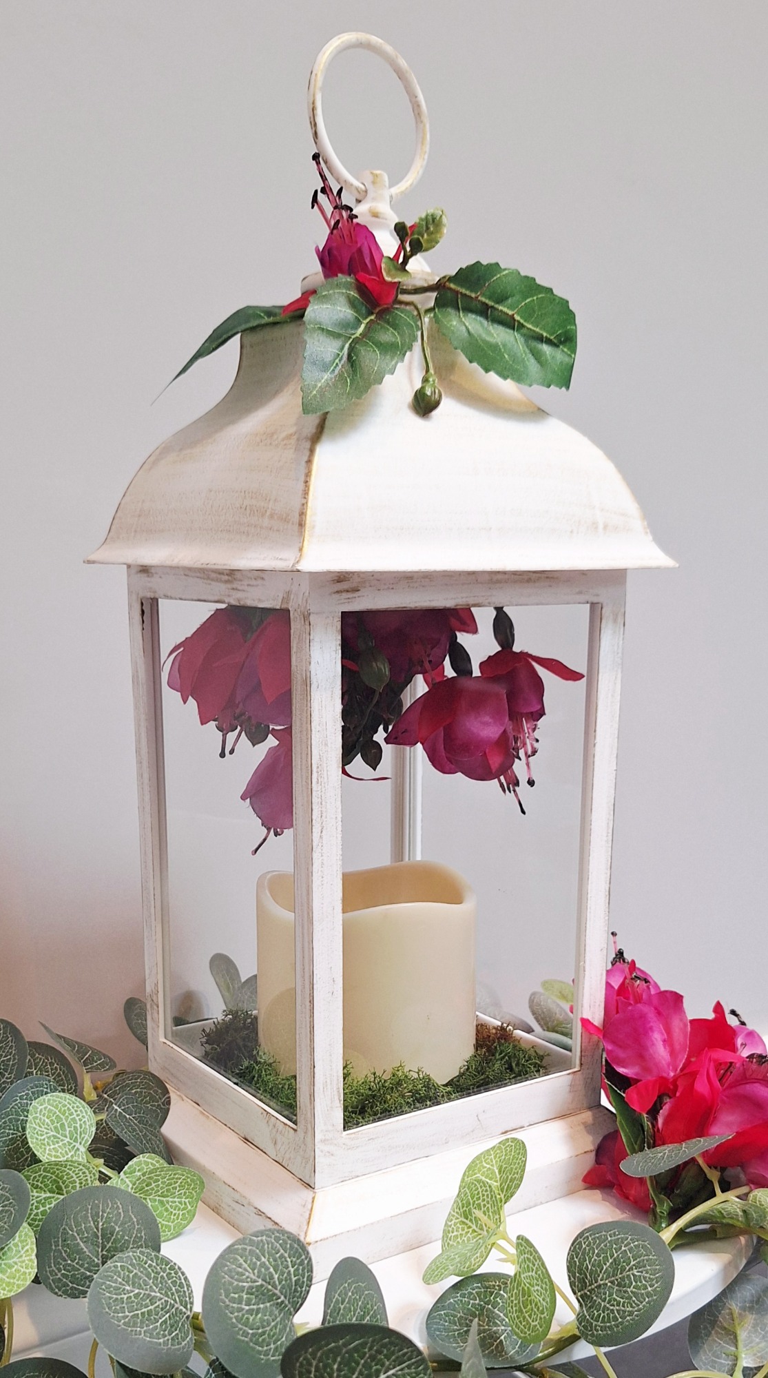 Fuchsia Lantern (M)